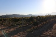 2018_10_raventos_bodega_013