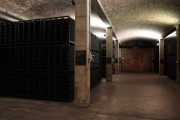2018_10_raventos_bodega_016