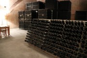 2018_10_raventos_bodega_018