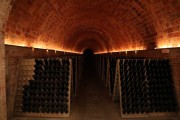 2018_10_raventos_bodega_019