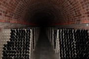 2018_10_raventos_bodega_022