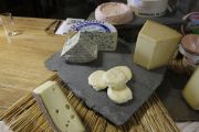 cata_quesos_franceses_006