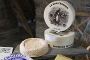 cata_quesos_franceses_007