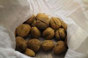 2012_11_jarradilla_britanic_039