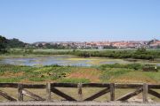 2012_molino_ent_001