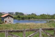 2012_molino_ent_005