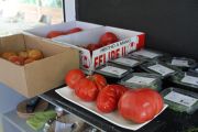 IMG_6086