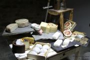 2014_03_oveja_jarradilla_012