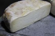 2014_03_oveja_jarradilla_020