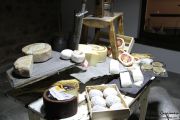 2014_03_oveja_jarradilla_021