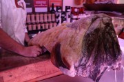 2018_06_tomi_carniceria_006