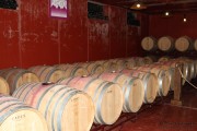 2016_04_queso_pan_vino_005