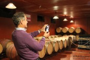 2016_04_queso_pan_vino_006