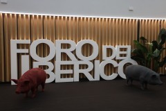 2023_11_foroiberico_013