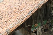 2016_04_cucayo_entorno_010