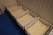 2024_07_cudana_cheese_026