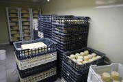 2024_07_cudana_cheese_036