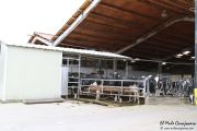 2013_12_leche_cudana_003