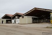 2013_12_leche_cudana_006