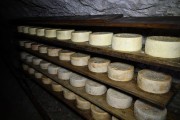 12_2024_providencia_cueva_007