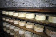 12_2024_providencia_cueva_035