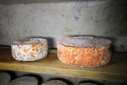12_2024_providencia_cueva_038