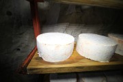 12_2024_providencia_cueva_044