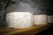 12_2024_providencia_cueva_046
