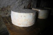 12_2024_providencia_cueva_048