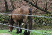camino_cascadas_lamina_002