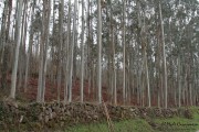 camino_cascadas_lamina_018