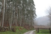 camino_cascadas_lamina_019