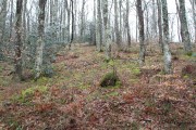 camino_cascadas_lamina_026