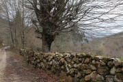 camino_cascadas_lamina_032