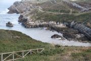 IMG_0772