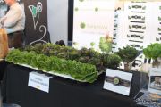 feria_gusto_expositores_035