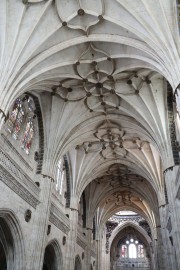 2018_05_caatedral_012