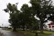 2019_11_mulecarajonero_granja_002