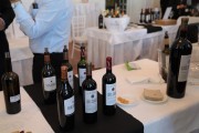 2019_04_experiencia_verema_041