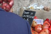 IMG_6178