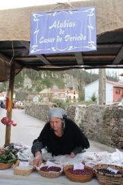 IMG_6212