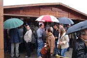 Picando_IMG_0444
