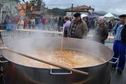 coci_IMG_0408