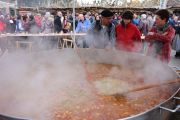coci_IMG_0435