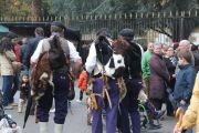 IMG_9890