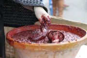 IMG_0545