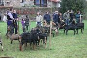 IMG_0591