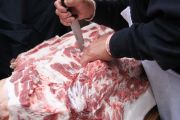 IMG_0777