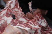 IMG_0790