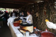 2014_11_casar_periedo_006